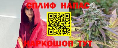 твердый Будённовск