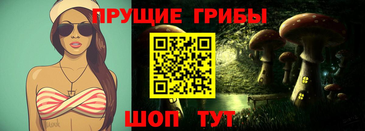 Псилоцибиновые грибы Psilocybe  Псилоцибиновые грибы GOLDEN TEACHER  Магадан  Вход с VPN 